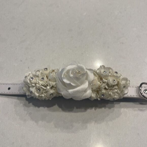 Dog collar for wedding special occasions. - Picture 2 of 6
